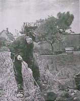 En mand, som graver kartofler.