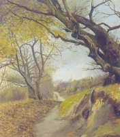 Bakket sti til Vinderød gennem skoven ved Frederiksværk. Efterår. På hver side af stien står et gammelt, bladløst træ. Det største, til højre, der er helt udhulet, kroger sig ud over stien.