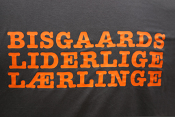 Bisgaards Liderlige Lærlinge 1 og 2